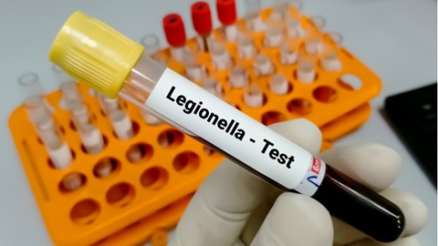 bactérie légionelle